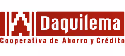 Logo Fernando Daquilema