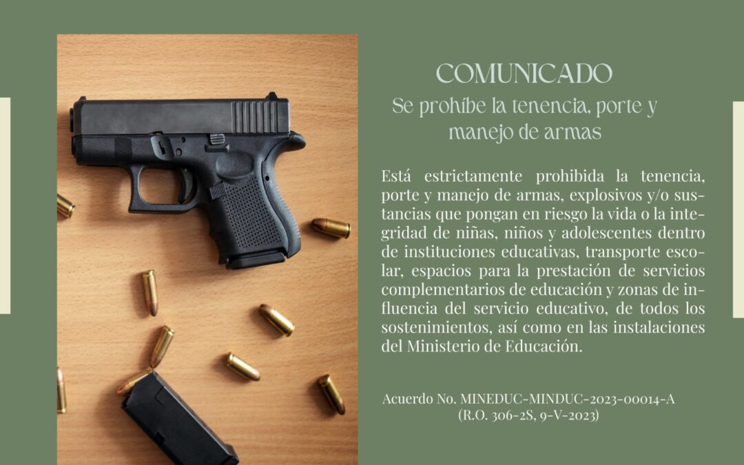 Se prohíbe la tenencia, porte y manejo de armas en el Sistema Nacional de Educación – Boletín Jurídico